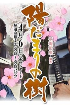 A Tree In The Sun afişi